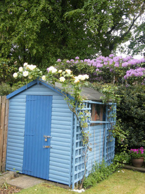 blau gestrichene Gartenhütte