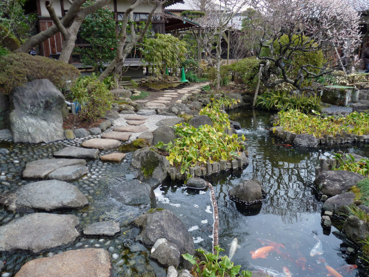 japanische Trittsteine und Teich
