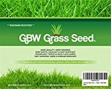 1 kg Grassamen für 35 Quadratmeter in Premiumqualität - schnell wachsende und widerstandsfähige Rasensamen - hervorragende Wassertoleranz - 43% Weidelgras, ...
