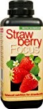 1 l Strawberry Focus Specialist Dünger für Erdbeeren in Töpfen oder auf dem Boden.