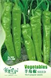 1 Original-Pack, 35 Samen / pack, Grün Big Long Horn Paprika bulgarischen Gemüsesamen # NF104