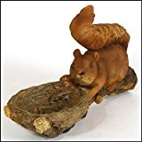 1 x Futterstelle Eichhörnchen, auf Ast, Polystone, 39x12x19cm, zum Anbringen an Ästen oder Baumstämmen, Dekofigur