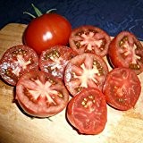 10 Samen Black Truffle Tomate - Feinschmeckertomate, schwarzrotes Fruchtfleisch