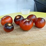 10 Samen Indigo Apple Tomate - platzfest, Fleischtomate