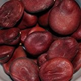 10 Samen Karmazyn Puffbohne - auch Ackerbohne oder Saubohne genannt