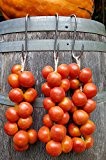 10 Samen mallorquinische Ramallet Tomate, für Pam amb oli, sehr alte Sorte
