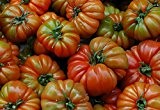 10 Samen RAF Tomate Sorte Tamano Grande, old spanish heirloom tomato, aus Andalusien, Südspanien