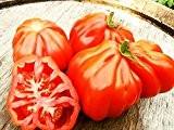 10 Samen Tomate Coeur de Boeuf, Ochsenherztomate, Oxheart Giant