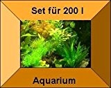 10 Töpfe + 10 Bund Wasserpflanzen, Aquarienpflanze