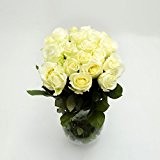 10 Weisse Rosen im Bund, ca 30 bis 40cm +/- frisch vom Gärtner, sehr gut geeignet als Geschenk zum Valentinstag ...