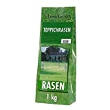 10 x Classic Green Teppichrasen Papierbeutel 1 kg, Nachsaat, Rasensaat