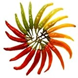 100 Heirloom Hot Serrano Chili Pepper Samen, schnell wachsende, heiß, interessant