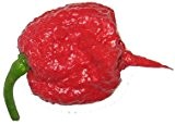 100 PCS Carolina Reaper Pepper Samen, heißestes Chili in der Welt, 100% frischem Samen,