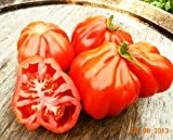 100 Samen Tomate "Coeur de Boeuf" Ochsenherztomate