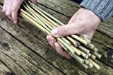 100 Stück Bambusstäbe - Tonkinstäbe 90 cm lang/ 6-8 mm dick von Native Plants
