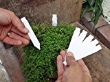 100 Stück Etiketten - Stecketiketten - Pflanzenetiketten 120x17mm von Native Plants