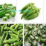 100 Stück Seltene Okra Samen gesund grün Gemüse Köstliche DIY Hausgarten Bonsai