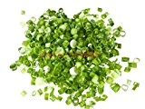 100 Stück Zwiebel Samen Grüne Frühlingszwiebel Gemüse Sorten Frische Bonsai Nahrung für Hausgarten