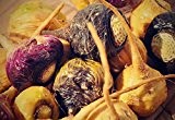 1000 Maca Samen Mix, Lepidium meyenii, peruanisches Ginseng, Keimtest s. Foto 2. Keimquote >95%