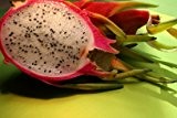 1000 Samen Pitahaya -Rote Drachenfrucht- *Weißfleischig*