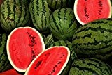 1000 Samen -Wassermelone Crimson Sweet- ''SORTENREIN''