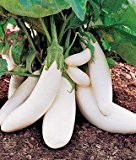 100pcs Gemüse Pflanzensamen 12kinds Der Aubergine-Samen Bonsaipflanzen Samen für Heim & Garten Bio Planta Sementes