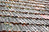 10L Moosvernichter für Dach Moosentferner Dachreiniger Untergrundvorbereitung Dachfarbe Algen und Moos Entfernen