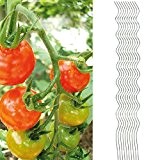 10x Tomatenspiralstab 180cm voll verzinkt Tomatenstab Tomaten Ranke Pflanzstab Stahl Profi Qualität ( 1-50 Stück ) Tomatenspiralstäbe