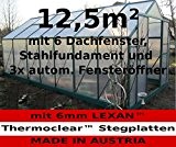 12,5m² PROFI ALU Gewächshaus Glashaus Treibhaus inkl. Stahlfundament u. 6 Fenster, mit 6mm Hohlkammerstegplatten - (Platten MADE IN AUSTRIA/EU) inkl. ...
