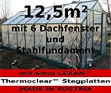 12,5m² PROFI ALU Gewächshaus Glashaus Treibhaus inkl. Stahlfundament u. 6 Fenster, mit 6mm Hohlkammerstegplatten - (Platten MADE IN AUSTRIA) von ...