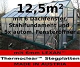 12,5m² PROFI Gewächshaus Glashaus Treibhaus inkl. Stahlfundament u. 6 Fenster, mit 6mm Hohlkammerstegplatten - (Platten MADE IN AUSTRIA/EU) inkl. 5 ...