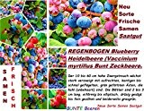 15x Regenbogen Heidelbeere Bunt NEU Samen Garten Pflanze Süß Saatgut Obst #265