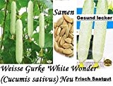 15x Riesen Weisse Gurken Samen Pflanze Rarität Garten Selten essbar gesund Gemüse Saatgut Frisch #42