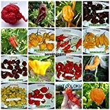 160 Seeds CHILLI in 16 Vielzahl von mehr Spicy and Tasty Welt COLLECTION 1.10 Carolina Reaper, 10 GHOST CHILI CHOCOLATE, ...