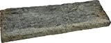 1x Terassenplatte in Baumstammoptik aus Beton - Nature - Besonders Authentische Optik - Gartenweg (675x225 mm)