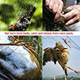 2.4 * 15m Nylon meshy Garten Obst GemŸse Pflanzen Anti Vogel-Netz