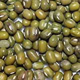 20 Samen Buschbohne Mungobohnen grün- auch Jerusalembohne genannt