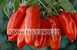 200 / bag große rote Tomatensamen San Marzano Die Früchte sind in sehr attraktive Form, Superior Geschmack, resistent gegen Krankheiten