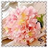 200pcs / bag Hortensie Samen, China Hortensien, Bonsai Hydrangeablume, Garten Natürliches Wachstum für Zuhause