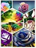2016 neue Großhandel heiße schöne 120PCS neue Rosen-Samen Farben Rare Osiria Rose Erbstück Chinese Rose Blumensamen