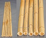 20er Set Bambusrohr gelb, Moso Bambus, gebleicht, Durch. 2,8- 3,5cm, Länge 300cm (BAYS3003)