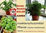 20x Buster Vanillemark insektenschutzmittel Moskito Killer Pflanze Samen selten In Deutschland Garten Innen-Außen Bereich #227
