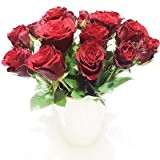 20x rote Rosen in Keramikvase