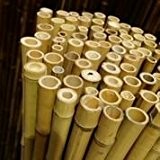 24/26mm 183x183cm goldgelb Bambusrollzaun Rollzaun Bamboo