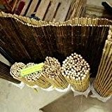 24/26mm 244x244cm goldgelb Bambusrollzaun Rollzaun Bamboo