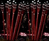 24 Stück Gartenfackel Bambusfackel 90 cm Mahagoni Farbe Öil-fackel ackel STAR-LINE® Bambus Garten-Fackel-Lampe Öllampe Gartenfackeln Deko