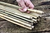 25 Stück Bambusstäbe - Bambusstangen 182 cm lang/ 12-14 mm dick
