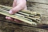 25 Stück Bambusstäbe - Tonkinstäbe 105 cm lang/ 8-10 mm dick von Native Plants