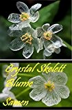 25x Crystal Skelett Blume Samen Blumensamen Garten selten Saatgut Pflanze Garten Rarität Frisch Neuheit #39