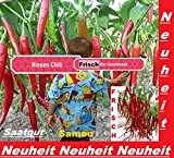 25x Riesen Chili Samen Garten Gemüse Neuheit Pflanze Rarität essbar sehr selten Saatgut #27